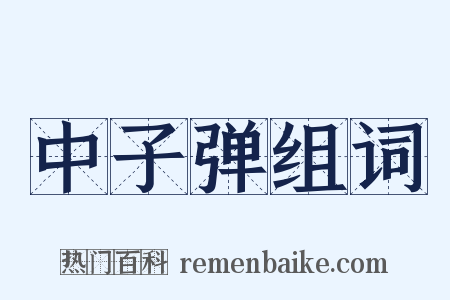 中子弹组词是什么意思的图片